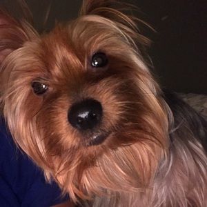 Meet your Posher, Conie